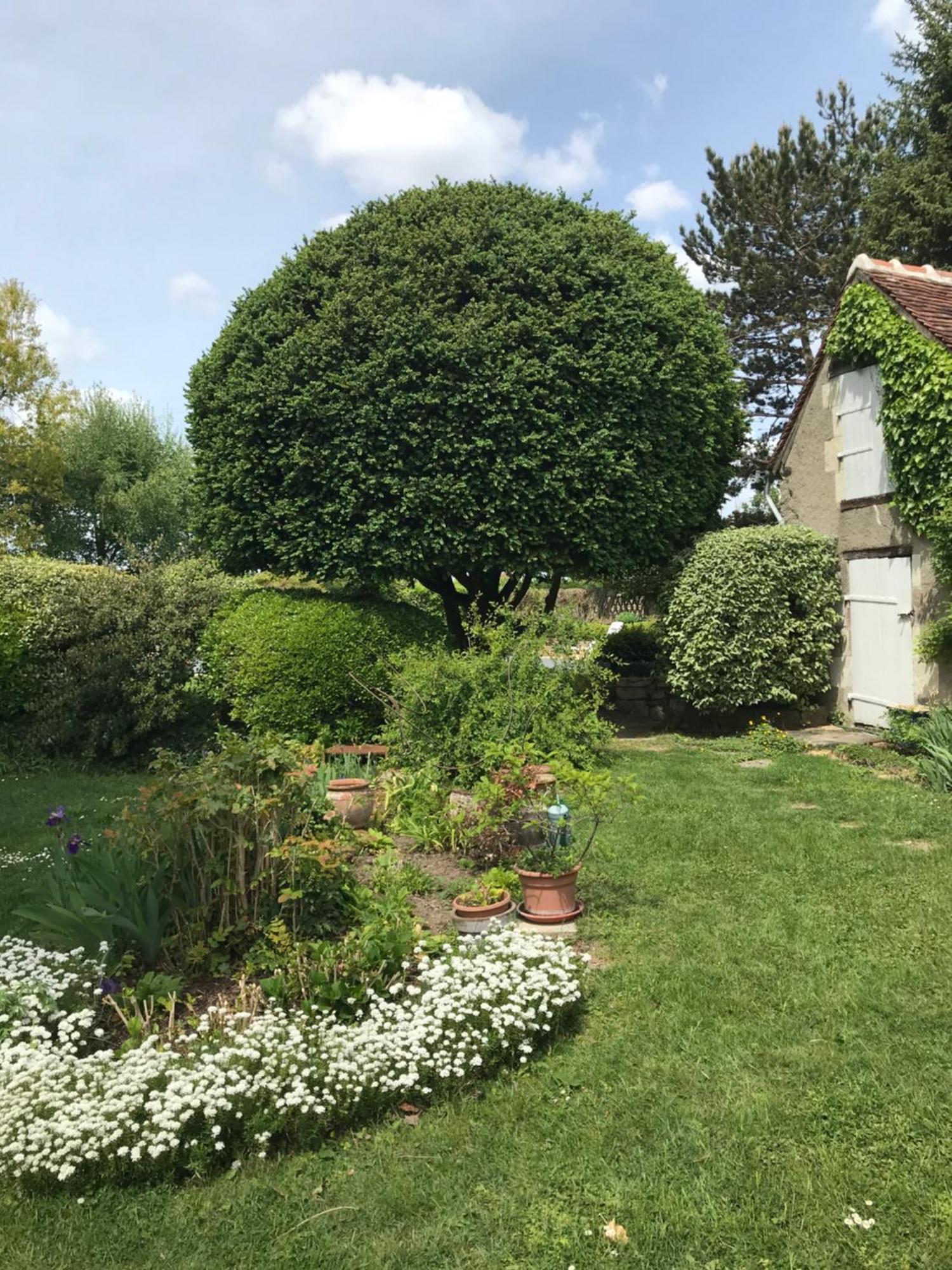 La Mauverniere, 2 Gites Independants, 1 Grande Piscine Exterieure, Jardin Arbore Descartes Eksteriør bilde