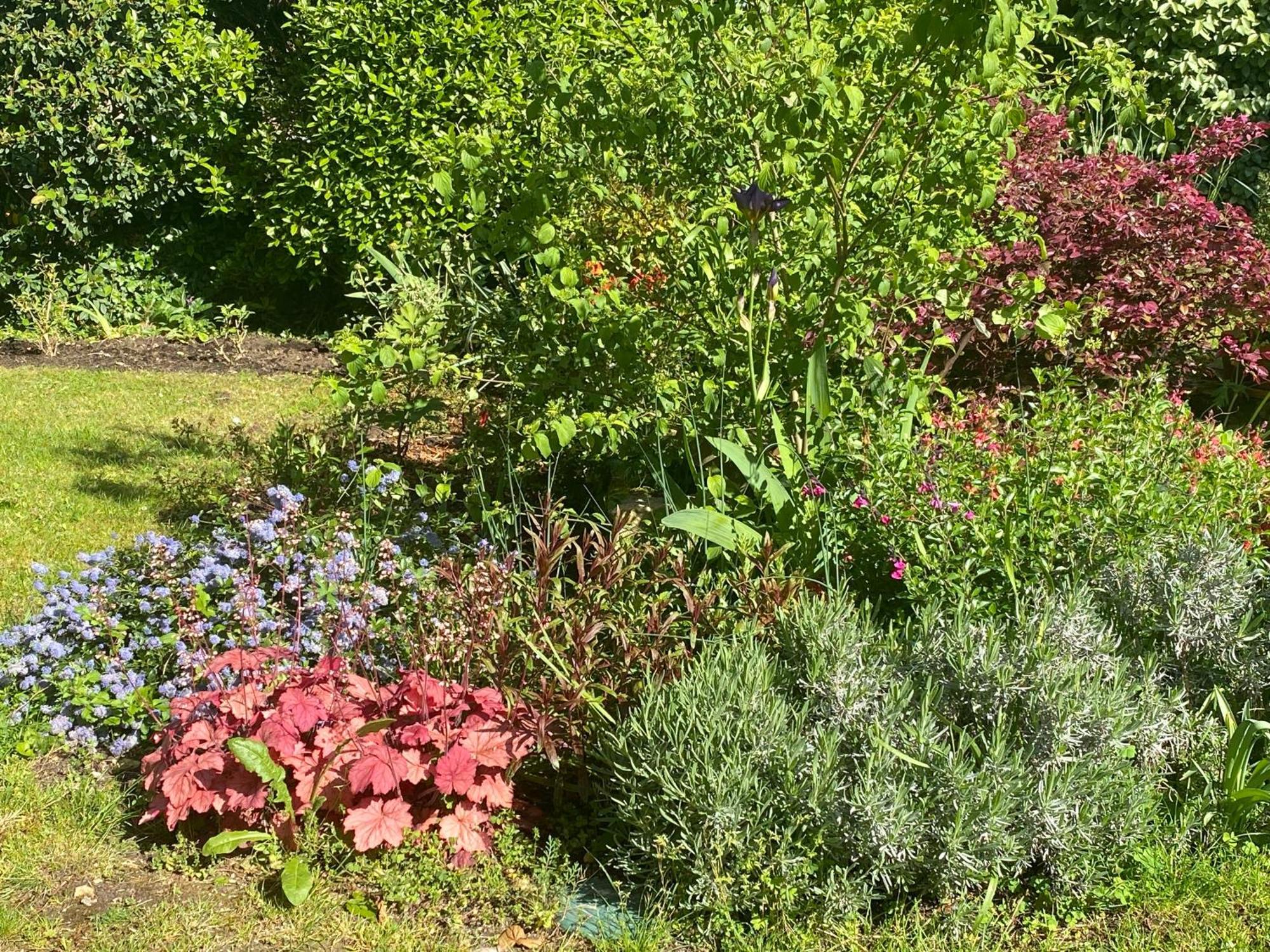 La Mauverniere, 2 Gites Independants, 1 Grande Piscine Exterieure, Jardin Arbore Descartes Eksteriør bilde